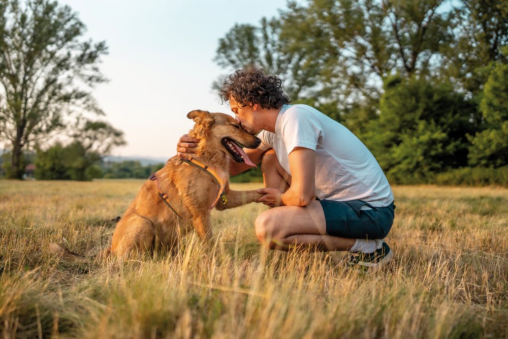 Glückliches Wiedersehen von Hund und Besitzer